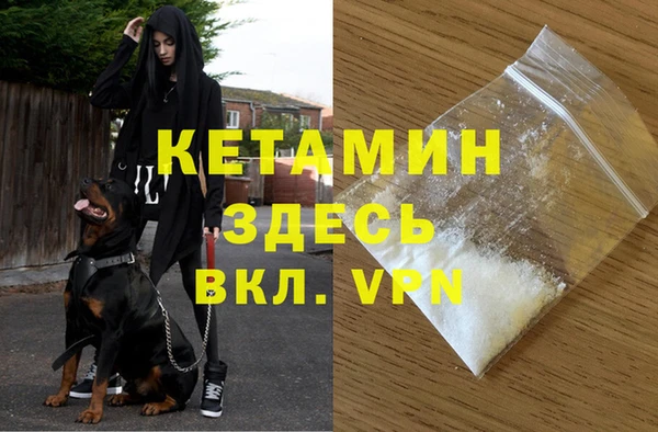 прущие крисы Каменка