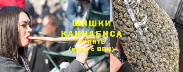 прущие крисы Каменка