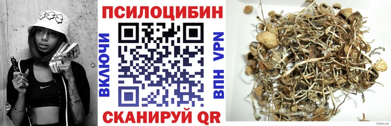 Галлюциногенные грибы Psilocybine cubensis  нарко площадка как зайти  Серпухов 